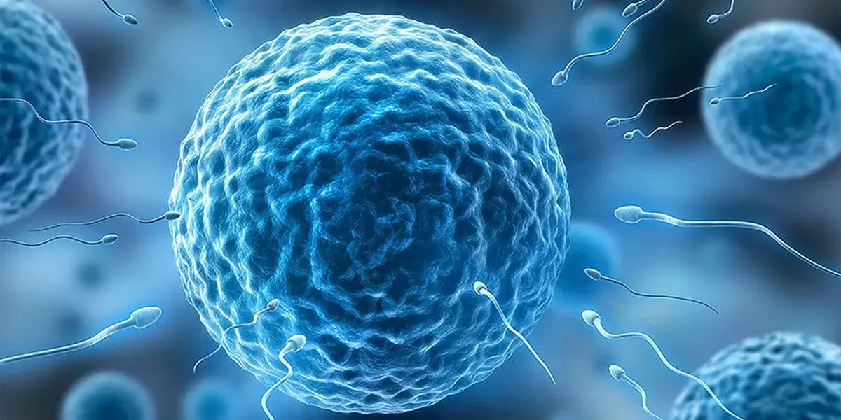 Causes of Female and Male
